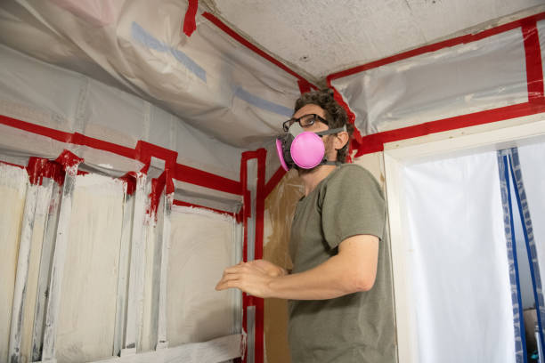 Reliable Palmer Lake, CO Mold Inspection, Removal & Remediation Solutions